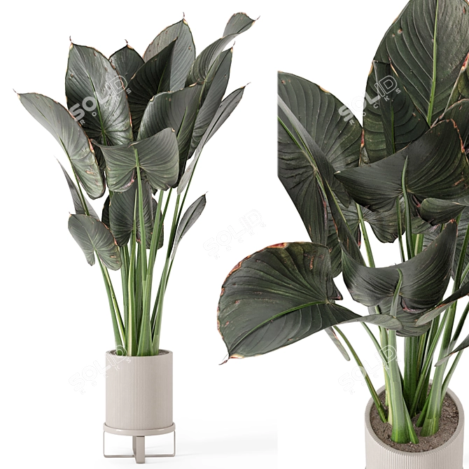 Ferm Living Bau Pot Large - Set 555: Stylish Indoor Plants 3D model image 1