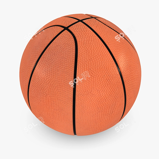 ProCourt Official Basketball - 30 cm 3D model image 1