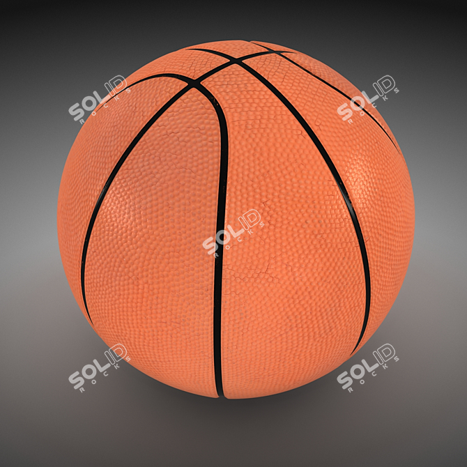 ProCourt Official Basketball - 30 cm 3D model image 2