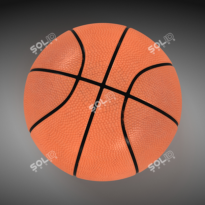 ProCourt Official Basketball - 30 cm 3D model image 3