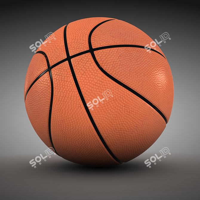 ProCourt Official Basketball - 30 cm 3D model image 4