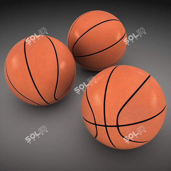 ProCourt Official Basketball - 30 cm 3D model image 5