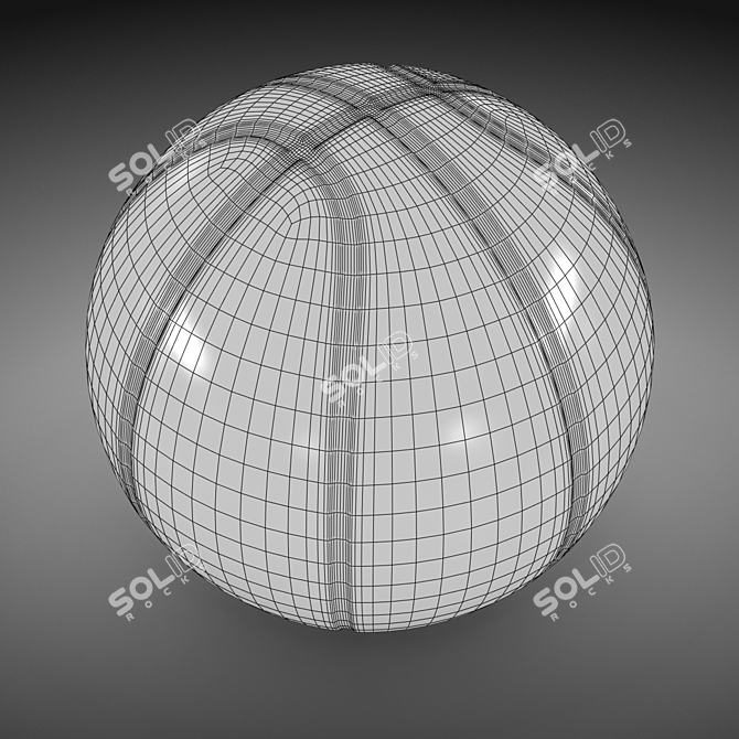 ProCourt Official Basketball - 30 cm 3D model image 7