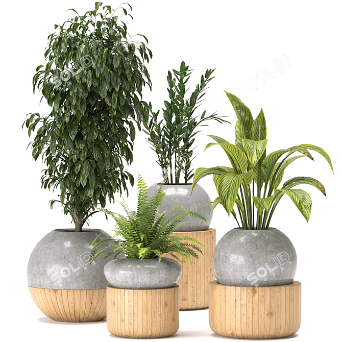 Green Oasis Indoor Plants Collection 3D model image 1