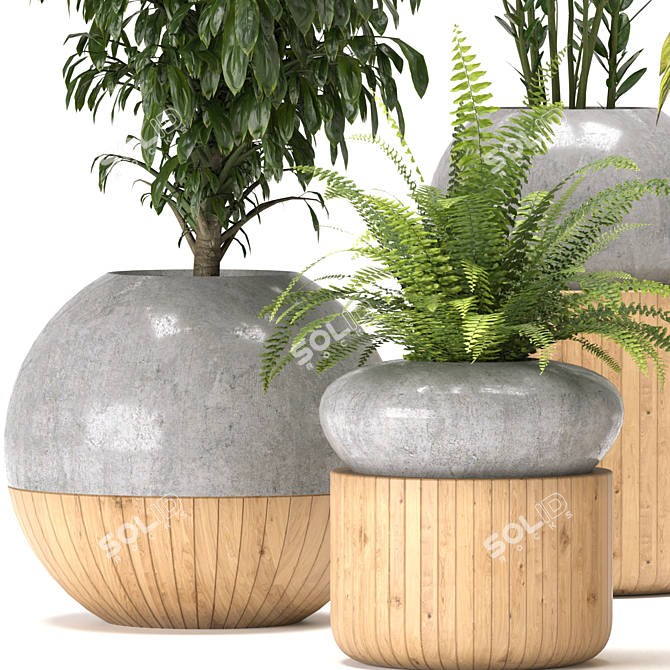 Green Oasis Indoor Plants Collection 3D model image 2