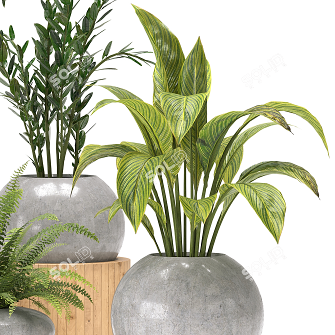 Green Oasis Indoor Plants Collection 3D model image 3