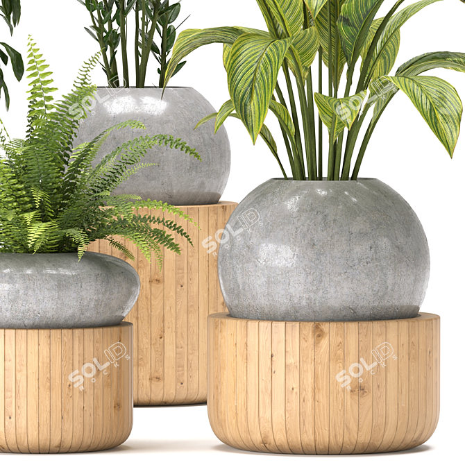Green Oasis Indoor Plants Collection 3D model image 4