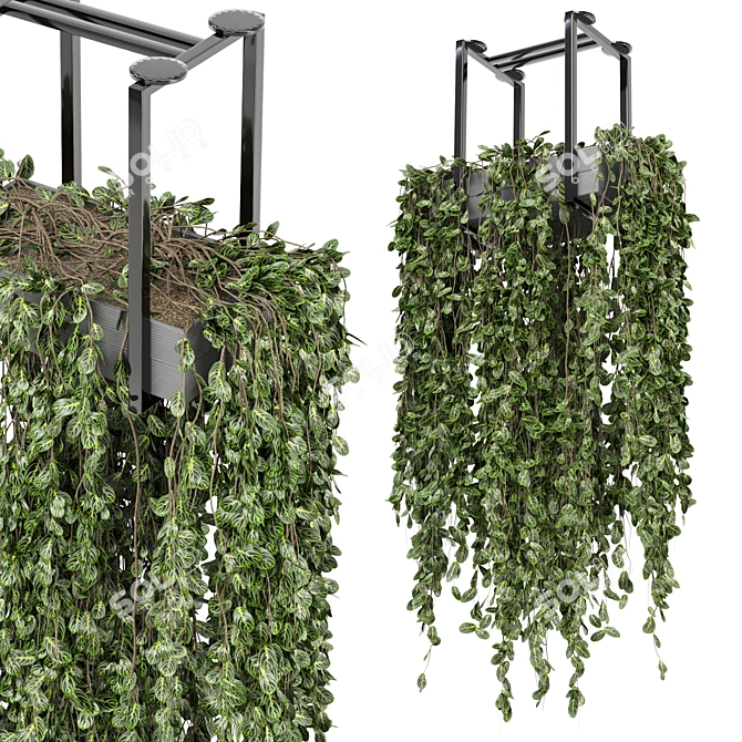 Metal Box Hanging Plants - Set 270 3D model image 1