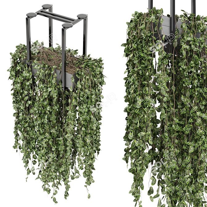 Metal Box Hanging Plants - Set 270 3D model image 2