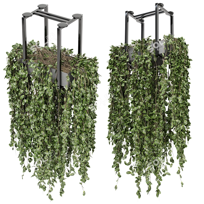 Metal Box Hanging Plants - Set 270 3D model image 3