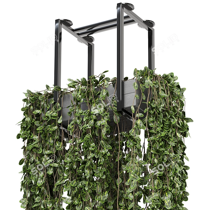 Metal Box Hanging Plants - Set 270 3D model image 4