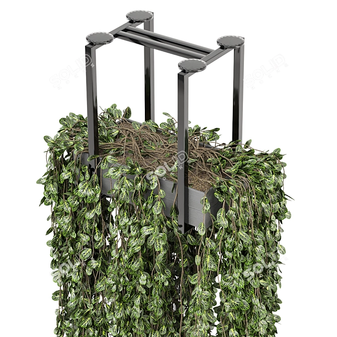 Metal Box Hanging Plants - Set 270 3D model image 5