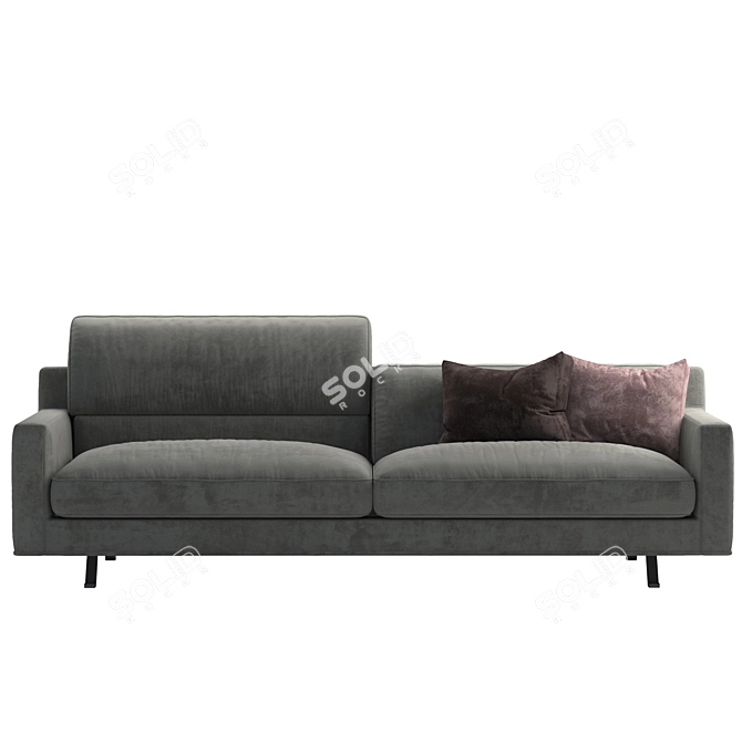 Luxurious James Frigerio Salotti Sofa 3D model image 2