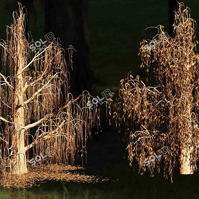 Weeping Willow 3D Tree Model 3D model image 3