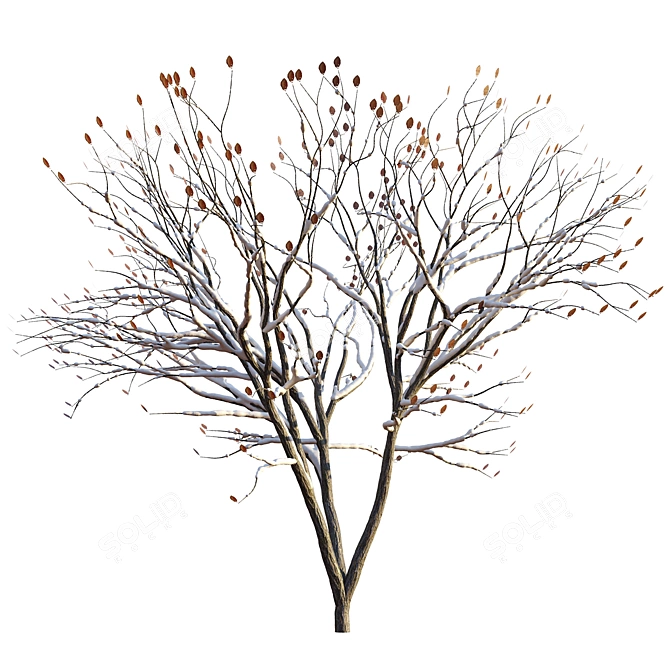 Frosty Arbor: Snow Tree 3D model image 1