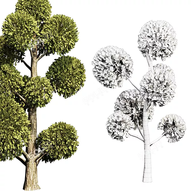 Outdoor Topiary Tree Sculpture 3D model image 2