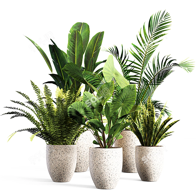 Botanical Bliss: Indoor Plant Set 3D model image 1
