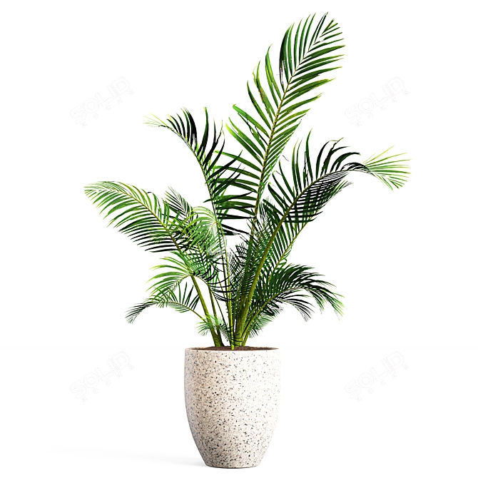 Botanical Bliss: Indoor Plant Set 3D model image 5