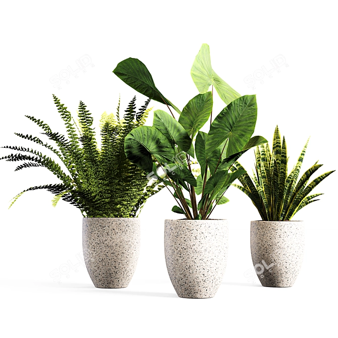 Botanical Bliss: Indoor Plant Set 3D model image 6