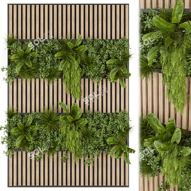 Fitowall Banana Leaf - Collection Plant Vol 326 3D model image 1