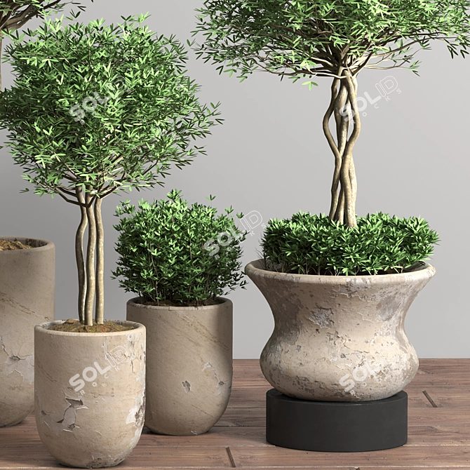 Damaged Plaster Pot: Indoor Plants 3D model image 3