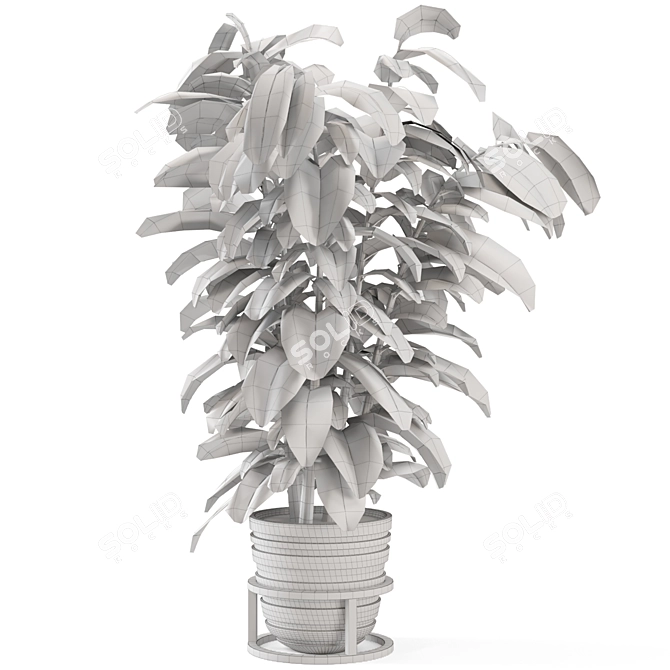 Rusty Concrete Pot Indoor Plants 3D model image 5