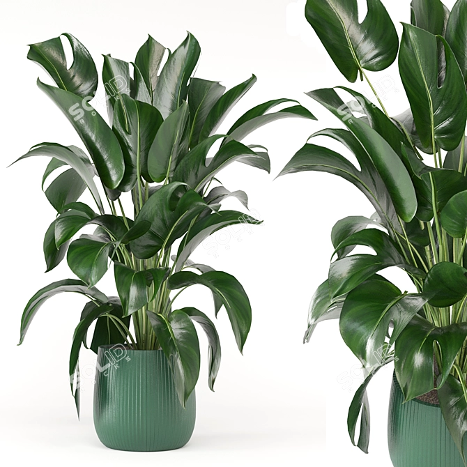 Green Oasis: Indoor Plant Collection 3D model image 1