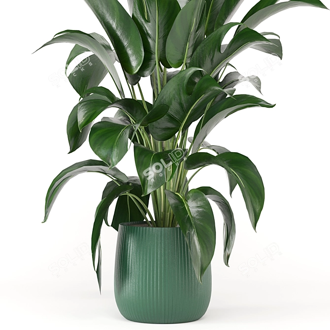 Green Oasis: Indoor Plant Collection 3D model image 3