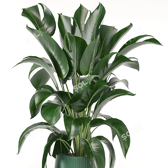 Green Oasis: Indoor Plant Collection 3D model image 4