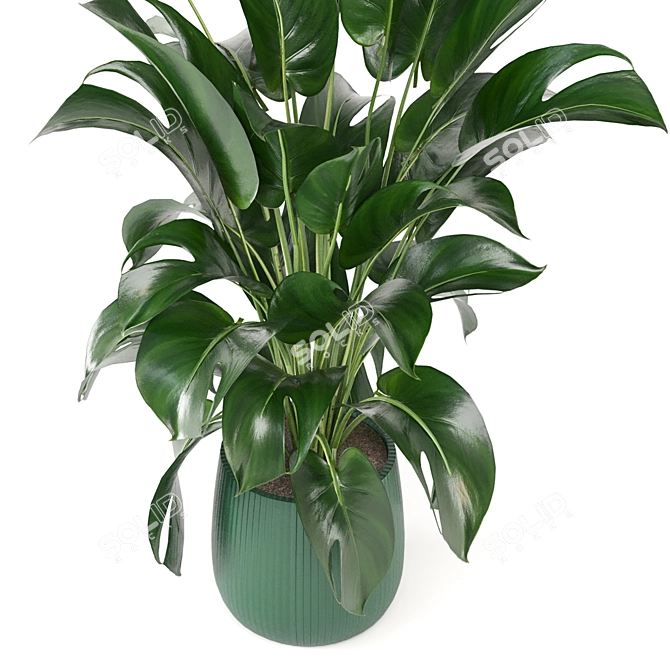 Green Oasis: Indoor Plant Collection 3D model image 5