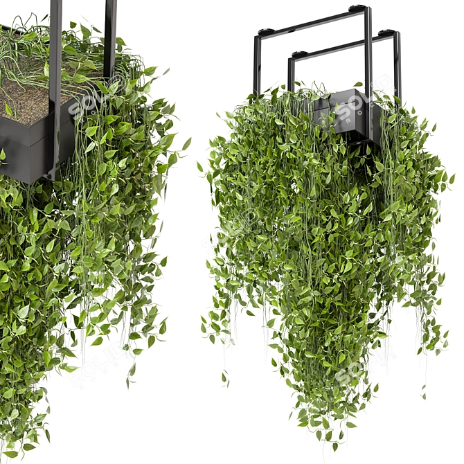 Metal Box Hanging Plants Set 3D model image 1