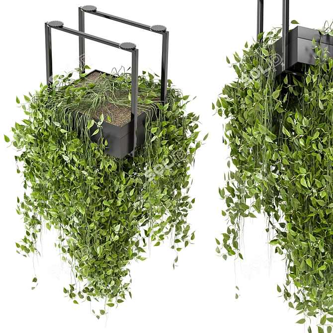 Metal Box Hanging Plants Set 3D model image 2