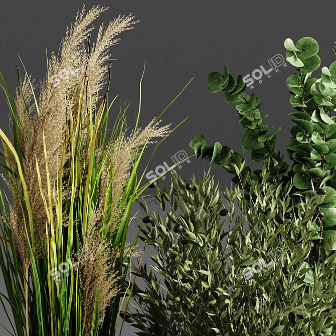 Lush Indoor Plant Collection 3D model image 3