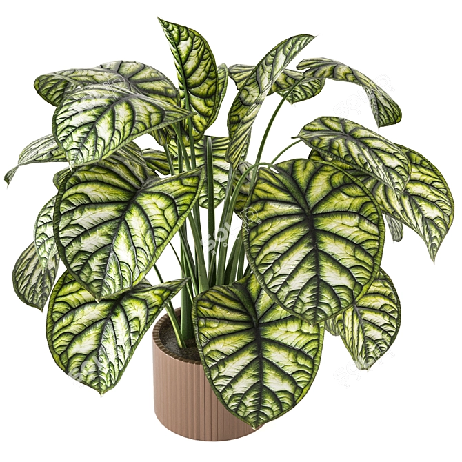 Indoor Plant Collection - Set 273: 3D Models 3D model image 5