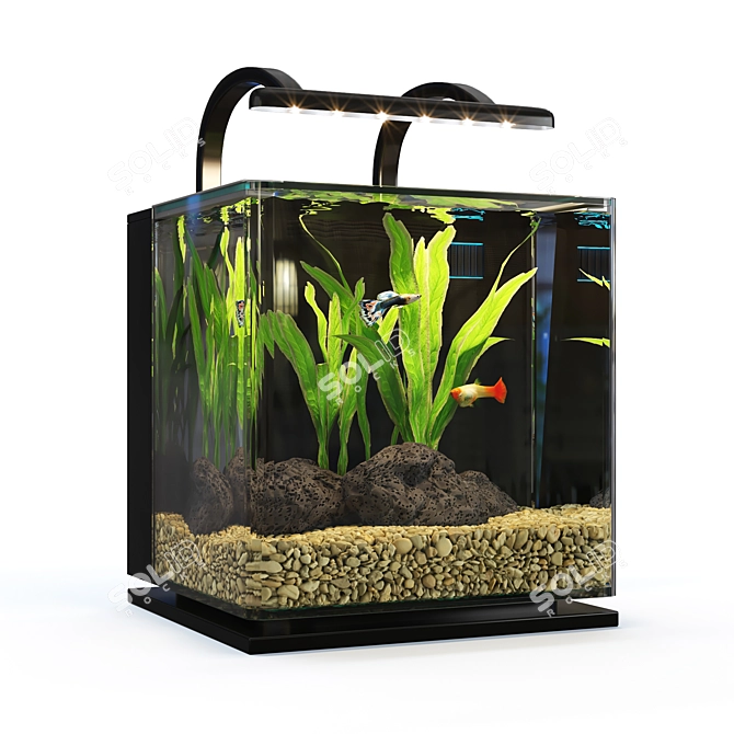 Sleek MarineLand Aquarium Kit 3D model image 1