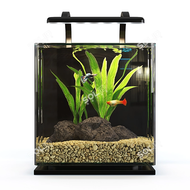 Sleek MarineLand Aquarium Kit 3D model image 3