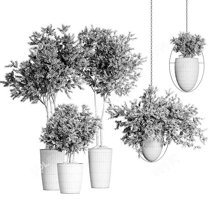 Indoor Plants Collection 62 3D model image 5