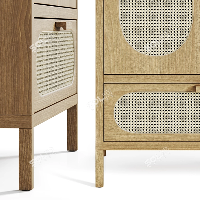 Elegant Rattan Wood Cabinet 3D model image 3