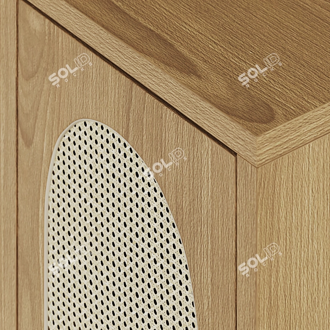 Elegant Rattan Wood Cabinet 3D model image 5