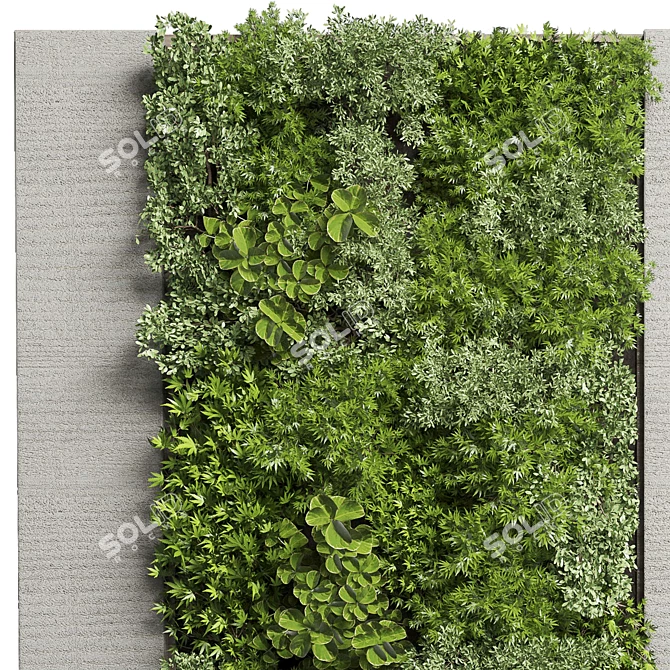 Wooden Frame Vertical Wall Garden 3D model image 3