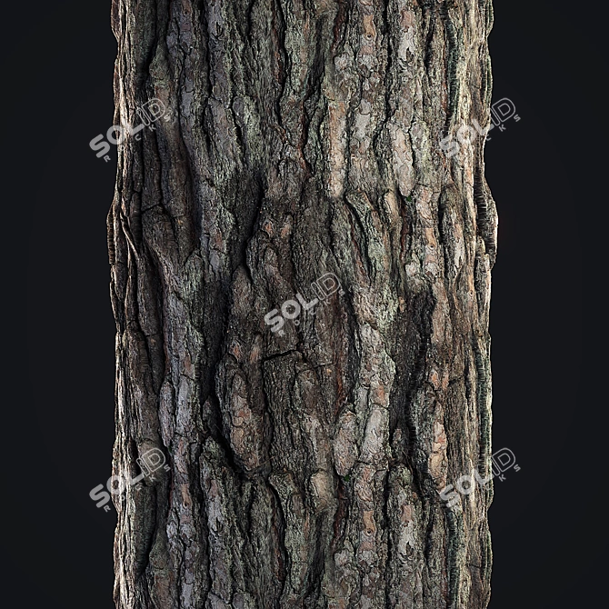 Seamless Pine Bark Texture 3D model image 3