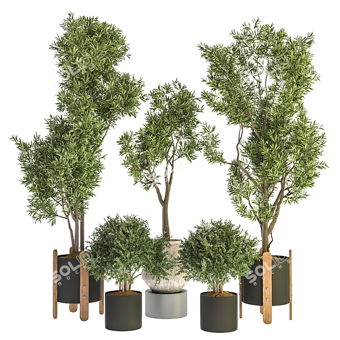 Modern Indoor Plant Design 3D model image 1