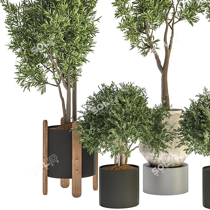 Modern Indoor Plant Design 3D model image 2