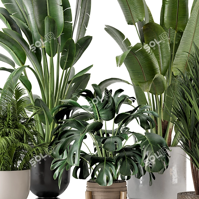 Modern Indoor Plants Set in Bau Pot 3D model image 2