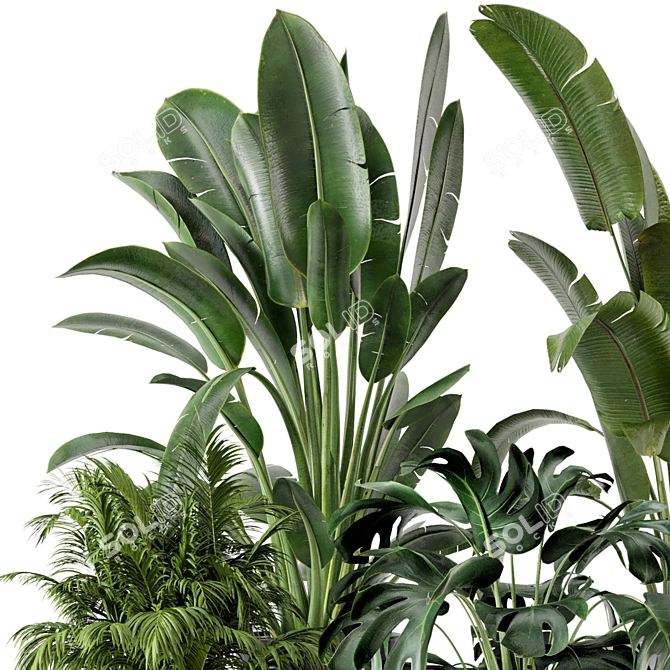 Modern Indoor Plants Set in Bau Pot 3D model image 3