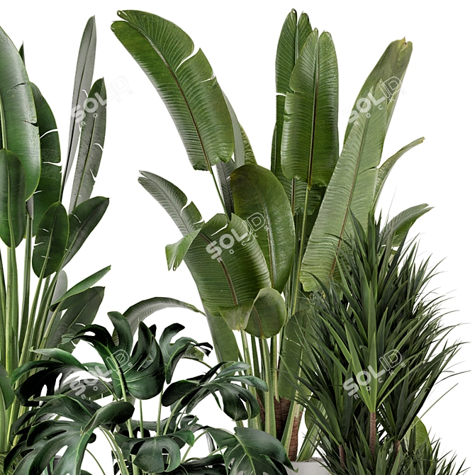 Modern Indoor Plants Set in Bau Pot 3D model image 4