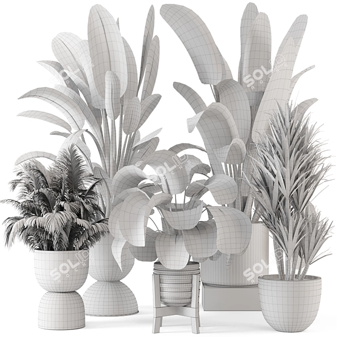 Modern Indoor Plants Set in Bau Pot 3D model image 7