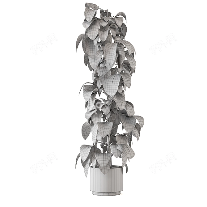 Indoor Plants Collection - Set 274: 3D Models for V-Ray and Corona 3D model image 5