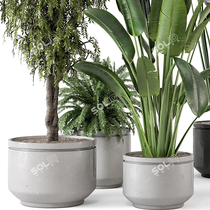  Rusty Concrete Pot Indoor Plants - Set 561 3D model image 4