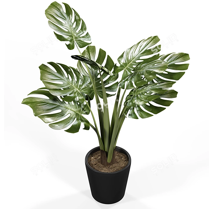 Faux Monstera: Lifelike Elegance 3D model image 2